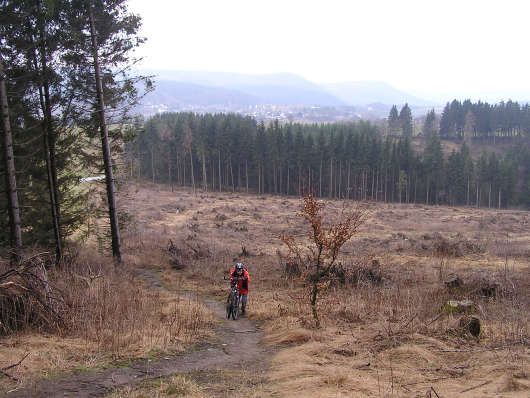 Die erste steile Passage auf dem Weg zum Hillekopf. Küstelberg ist im Hintergrund noch zu erahnen.